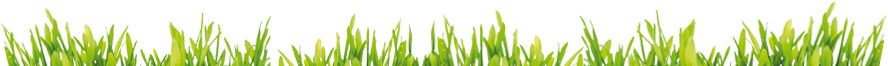 Verdure