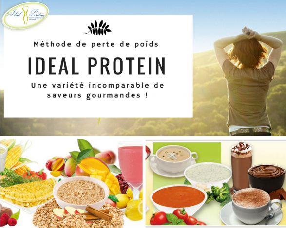 À propos du protocole Ideal Protein 