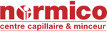 Normico logo