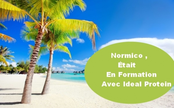 FORMATION continue , c'est Important pour Normico :)